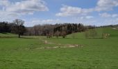 Tour Wandern Dinant - CONDROZ: LIROUX-CONJOUX-CORBION-CONNEUX-LIROUX - Photo 2