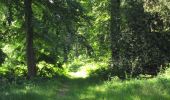 Trail Walking Choisy-au-Bac - en forêt de Laigue_12_05_2021_sur le Mont Renard et le Mont l'Ecange - Photo 3