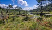 Tour Zu Fuß Seeboden am Millstätter See - 23: Samkt Wolfgang - Egelsee - Photo 4