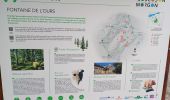 Trail Walking Crots - Abbaye de Boscodon (Hautes Alpes) - Photo 8