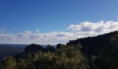 Tocht Noords wandelen Saint-Guilhem-le-Désert - St Guilhem Via Tolosana Max Nègre 21 janv 2023 - Photo 11