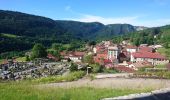 Tocht Stappen Septmoncel les Molunes - 190624 - Jura.2 - Montépile  - Photo 12