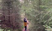 Trail Walking Lapoutroie - Tête des faux  - Photo 3