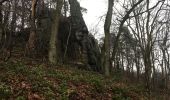 Trail On foot Nandrin - Les rochettes Bois des dames - Photo 10