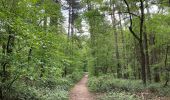 Randonnée Marche Genappe - Promenade de Bousval - Photo 1