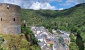 Trail Walking Esch-sur-Sûre - Esch-sur-Sûre (PVDB) - Photo 3