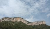 Trail Walking La Valette-du-Var - Le Revest les Eaux-29-03-2023 - Photo 7