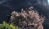 Trail Walking Saint-Alban-Leysse - St-Alban-Lovettaz-2021-04-14 - Photo 2