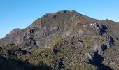 Tour Wandern Ilha - Madère : vers le Pico Ruevo sommet de l'île - Photo 9