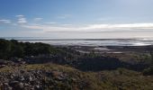 Tour Wandern Gruissan - tour de l'île Saint Martin  - Photo 2