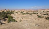 Trail Walking Unknown - 2024 Canyonlands The Needles - Photo 1