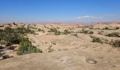 Excursión Senderismo Unknown - 2024 Canyonlands The Needles - Photo 1