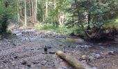Randonnée Marche Mont-Dore - LES CASCADES DU SAUT DU LOUP, ROSSIGNOLET ET QUEUREUILH - Photo 5