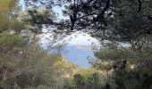 Trail Walking Six-Fours-les-Plages - Sentier du littoral  - Photo 9