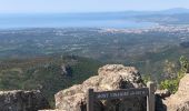 Trail Walking Fréjus - Depuis le pont de la Bécasse  - Photo 6