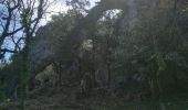 Trail Walking Cassis - gemenos - Photo 8