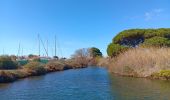 Tocht Stappen Sainte-Marie-la-Mer - sainte marie la mer - village et plage  - Photo 10