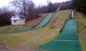 Tour Zu Fuß Brotterode-Trusetal - Rund um den Seimberg - Photo 9