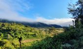 Tocht Stappen La Plaine-des-Palmistes - Tour du Piton des songes - Photo 3