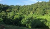 Trail Nordic walking Sainte-Anne - Modette   - Photo 3