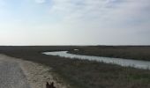 Trail Walking Cayeux-sur-Mer - Le hourdel  10/04/2019 baie de somme - Photo 2