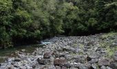 Trail On foot Unknown - Te Araroa - 06 Wellington - a Poads Road, Levin to Otaki Forks - Photo 10