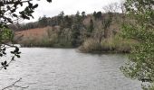 Percorso A piedi Sconosciuto - Castlewellan Forest Park - Cypress Pond Walk - Photo 4