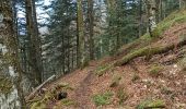 Trail Walking Bussang - 18-03-23 chalet des Founès, tête de la Bouloie, chalet des crêtes et cascade de l'ours - Photo 4
