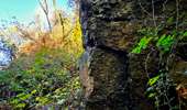 Trail Walking Honnelles - La promenade du Caillou qui Bique - Photo 20