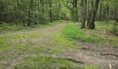 Tour Wandern La Chapelle-Enchérie - La Chapelle-Enchérie - Bois de Bricsard - Photo 11