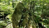 Trail Walking Incourt - La promenade des grosses pierres ( 4,9km ) - Photo 12