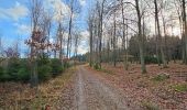 Tocht Stappen Lierneux - A la découverte de Lierneux 🥾 - Photo 15