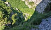 Tour Wandern Borce - chemin de la mature - Photo 6