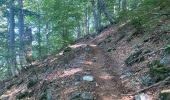 Trail Walking Vivario - Vizzavona col Vernet - Photo 17