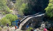 Tour Wandern Fabras - Fabras Jaujac les orgues basaltiques  - Photo 9