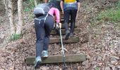 Excursión Senderismo Le Vauclin - Trou cochons - Photo 12