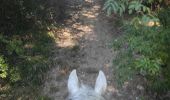 Trail Horseback riding Orthoux-Sérignac-Quilhan - mas bas - corconnes en boucle - Photo 2