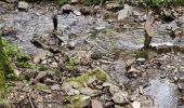 Excursión Senderismo Tournavaux - Blossette la gyre et la lyre - Photo 1