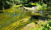 Tour Wandern Moncontour - VIENNE / LA SENTE DIVINE: SAINT CHARTRES - LA GRIMAUDIERE - Photo 9