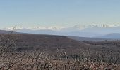 Trail Walking Banon - BANON Les Chastellas . Aven de Courtin . Hameau  ruiné  des Plaines n - Photo 2