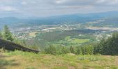 Randonnée Marche Saulcy-sur-Meurthe - Massif du KEMBERG - Photo 5