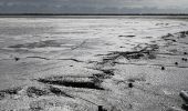 Tour Radtourismus  Saint-Martin-de-Ré - Île de ré - Photo 13