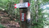 Tour Zu Fuß Sant'Omobono Terme - Sentiero 575: Valsecca - Rifugio Capanna Alpinisti Monzesi - Photo 3