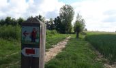 Trail Walking Gesves - Bois didactique de Gesves - Photo 3