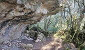 Trail Walking Signes - Plateau de la Limate en partant de Siou Blanc - Photo 7