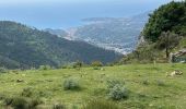 Trail  Castillon - Grammondo 3 - Photo 2