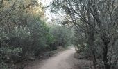 Trail Walking Aix-en-Provence - Randonnée des barrages Zola et Bimont - Photo 5