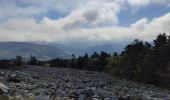 Tour Wandern Le Bessat - Croix de Chaubouret - Crêt de Botte - Col de l'Oeuillon  - Photo 4