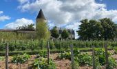 Tour Wandern Sauternes - Châteaux de Sauternes - Photo 3