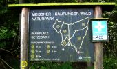 Trail On foot Kaufungen - Kaufungen, N2 - Panoramaweg - Photo 4